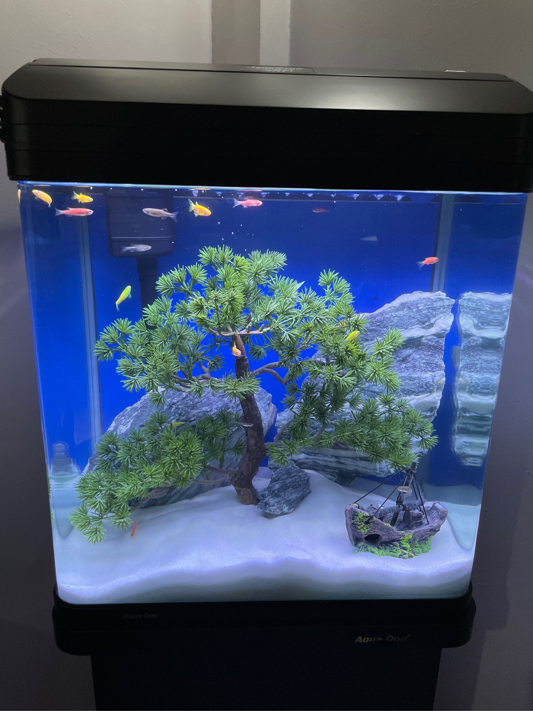 Argos fish 2024 tank accessories