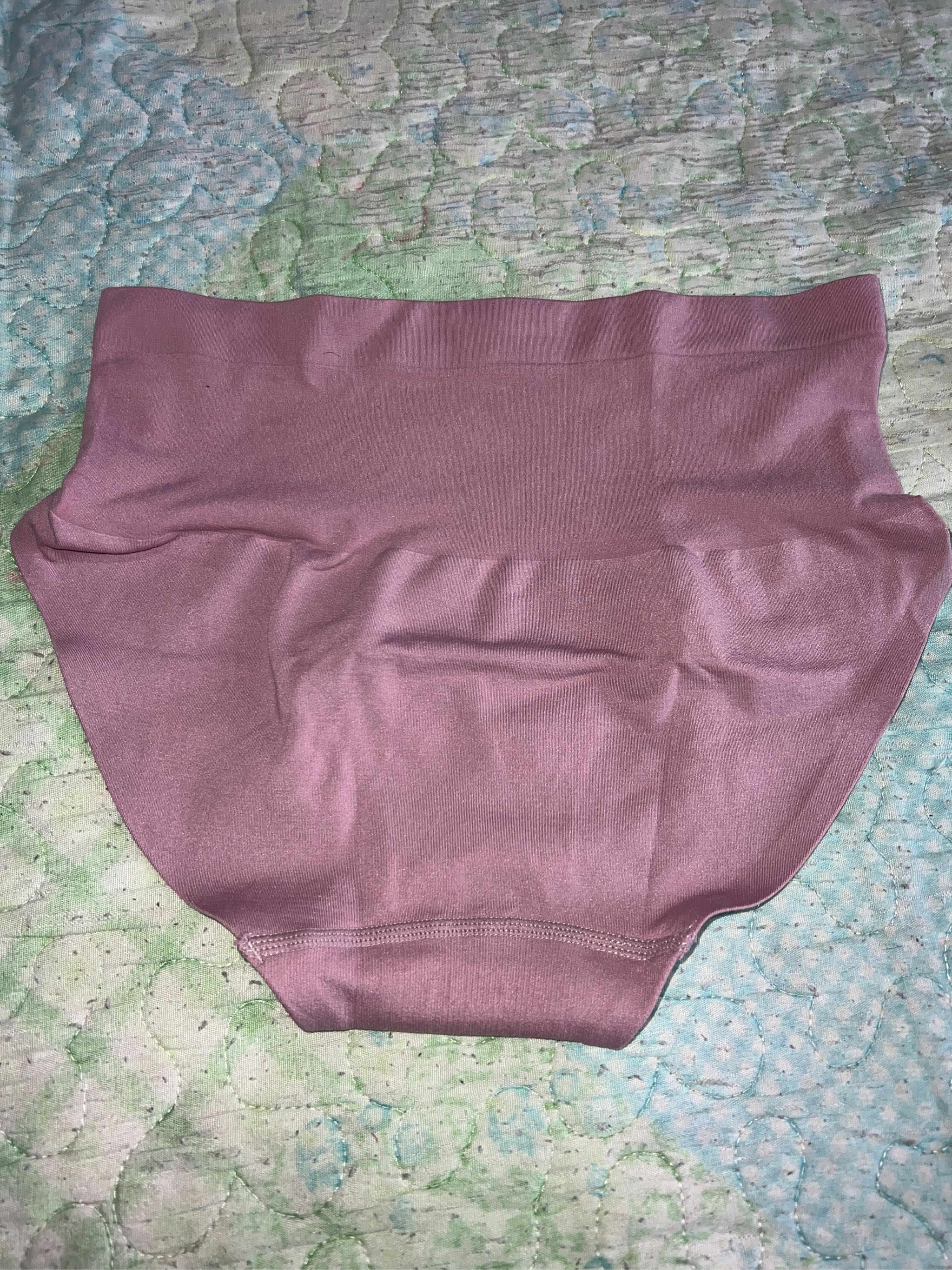 Pierre Cardin Seamless Thick Band High Waist Panty 502-7369S