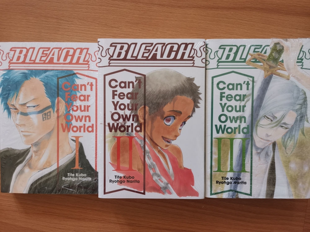 Bleach Can T Fear Your Own World Vol 1 Paperback Lazada Ph
