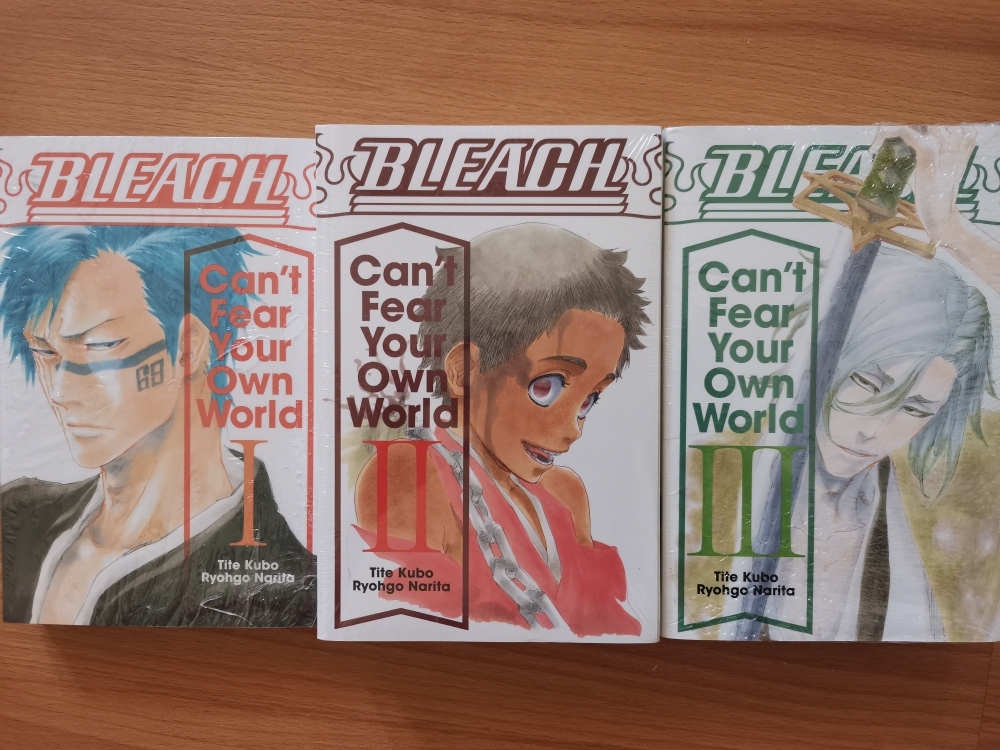 Bleach: Can't Fear Your Own World Vol. 1 by Tite Kubo