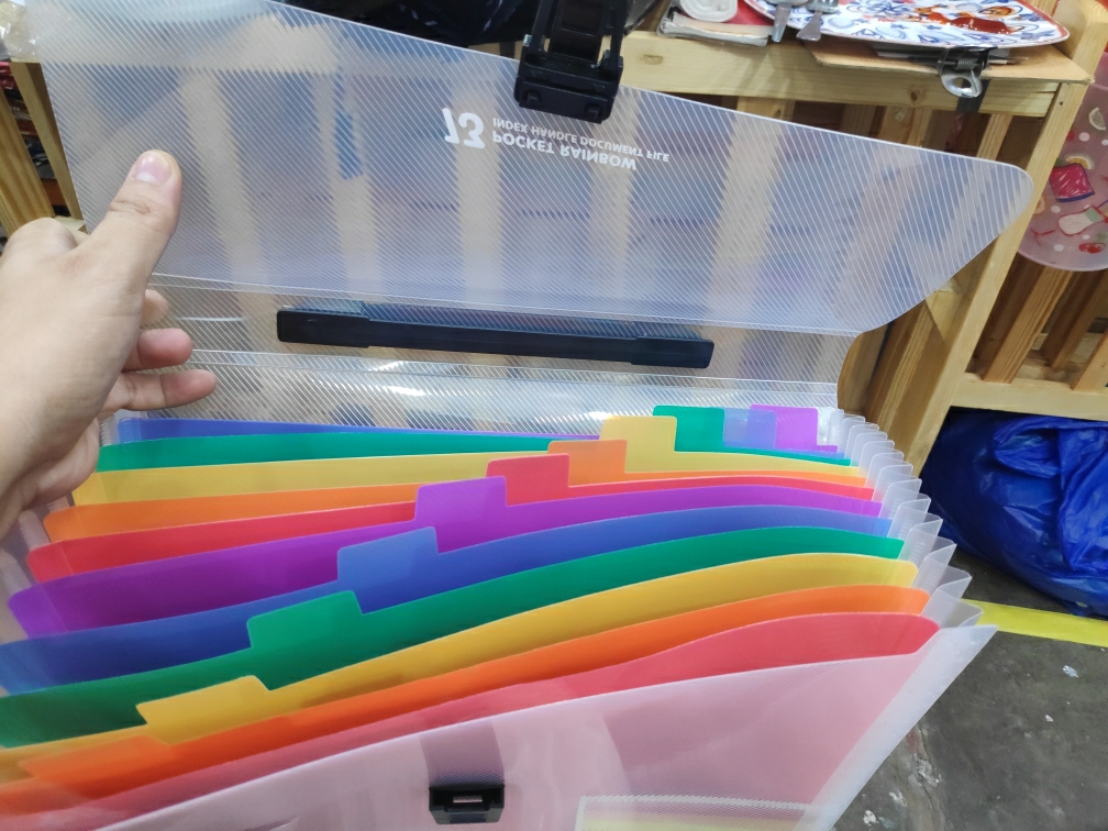 Plastic Expanding Accordion Folders, Letter Size Portable Document