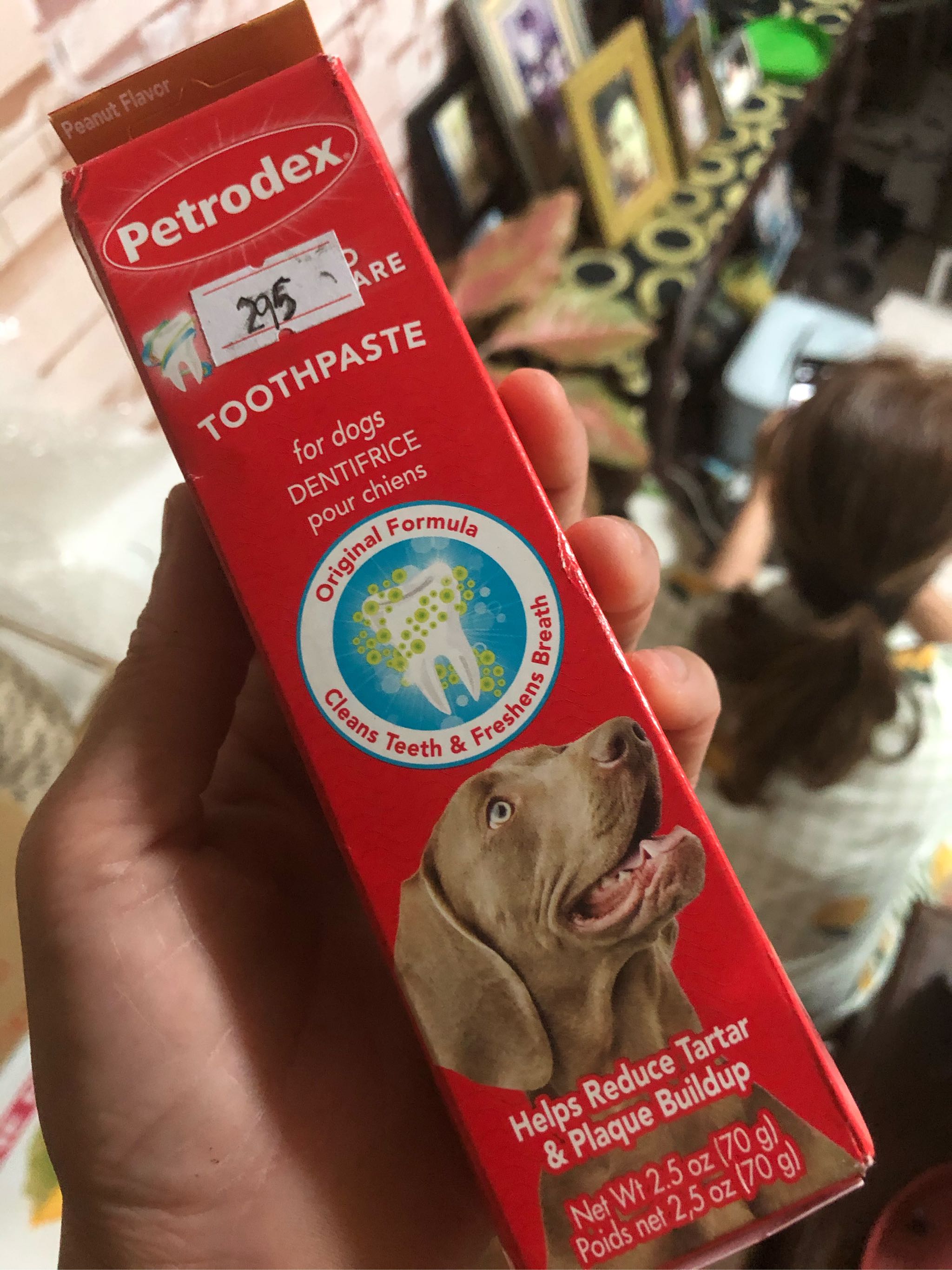 sentry dog toothpaste
