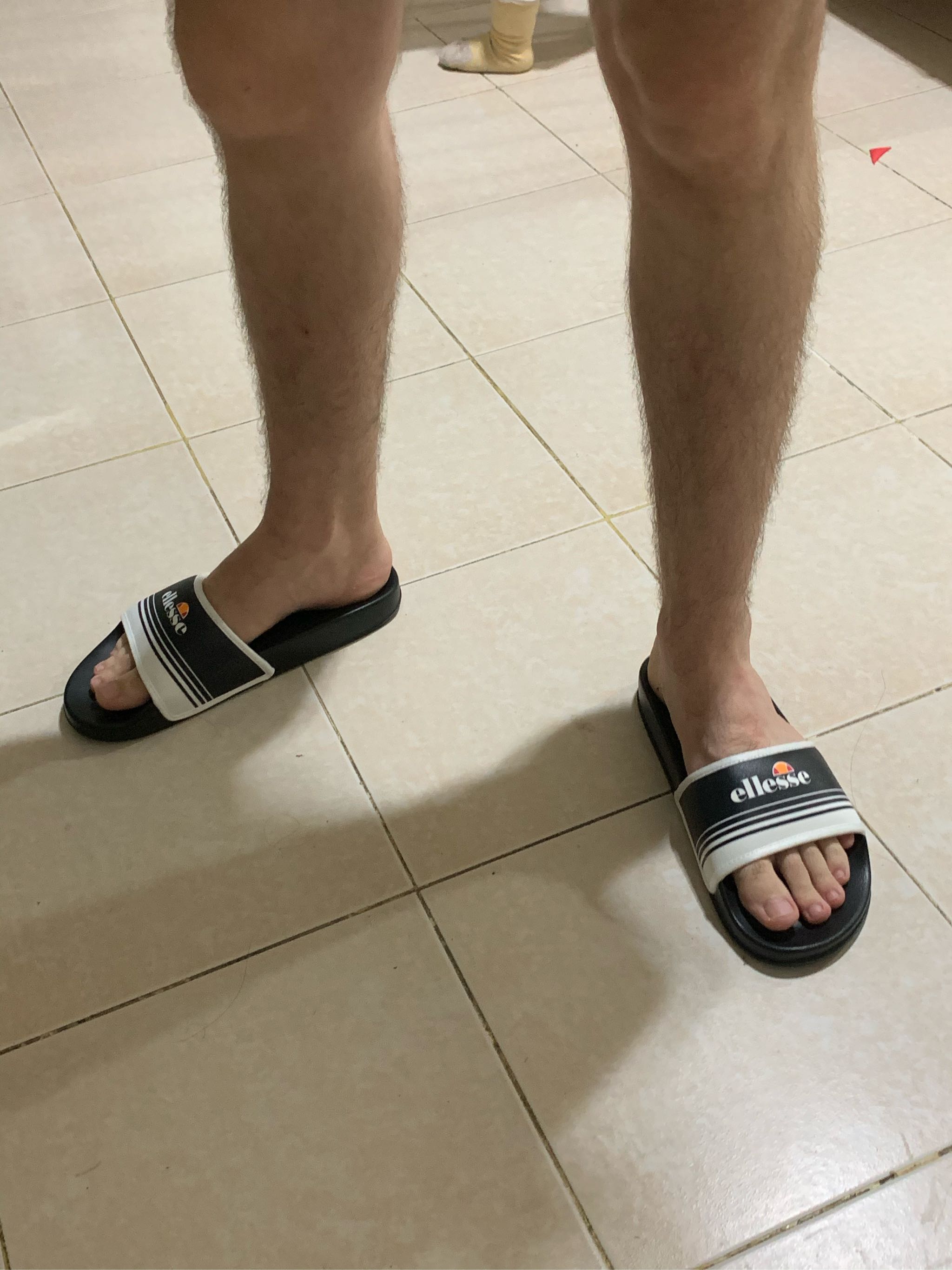 ellesse filippo sliders