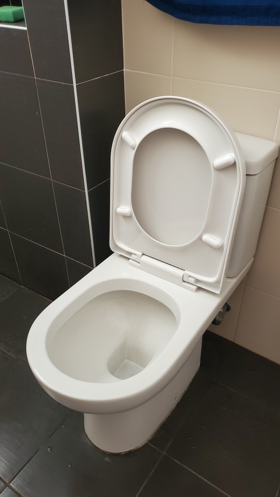 How To Tighten A Loose Toilet Seat