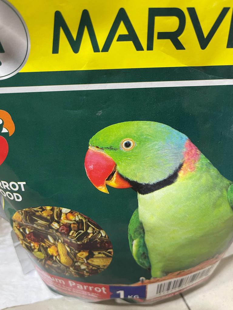 Alexandrine parrot cheap food online