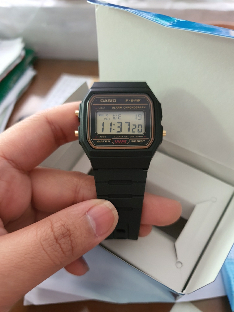 CASIO - F91 WG-9 : : Moda