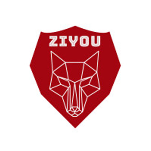 ZIYOU Store