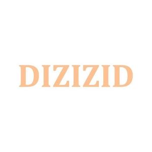 DIZIZID Store