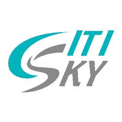 Citi Sky Korea Elec. logo
