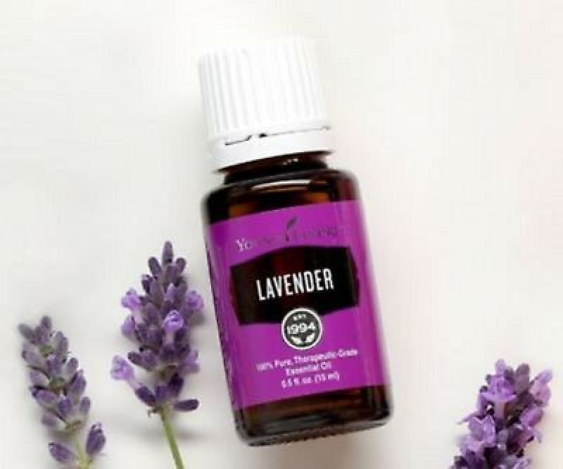 Buy Young Living Lavender 15ml Singapore
