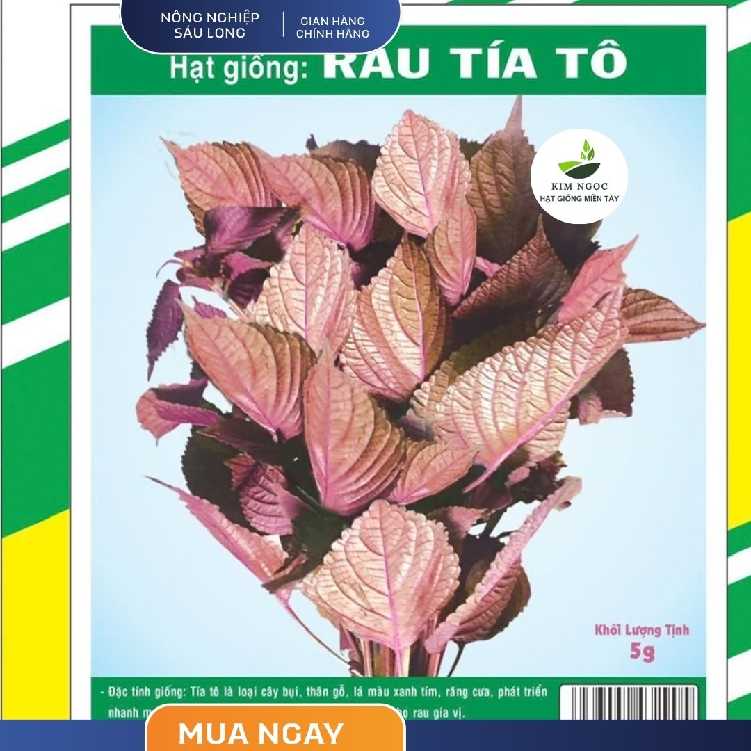 (Gói 5 gram) Hạt Giống Rau Tía Tô NAM VIỆT - Lá màu xanh tím, sinh trưởng mạnh