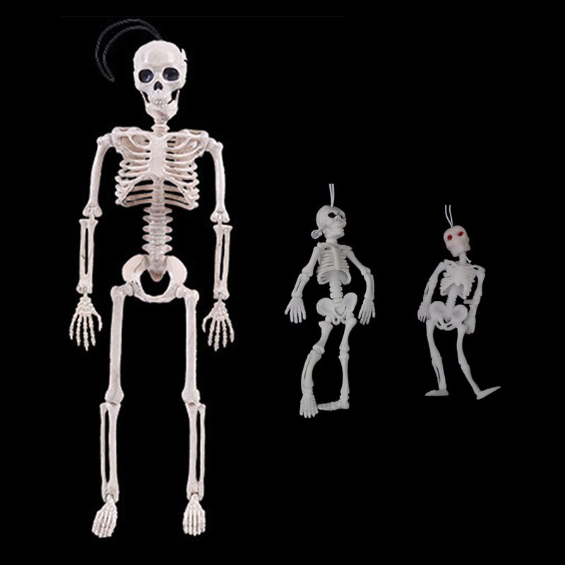 40 14 9.5CM Flexible Human Anatomical Anatomy Bone Skeleton Model