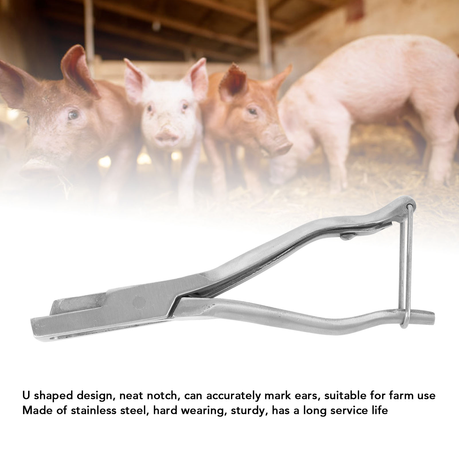Tai bằng thép không gỉ TAG plier Tai notcher động vật xác định công cụ Tai tag Kìm V hình dạng động vật xác định công cụ thiết bị gia súc cho thiết bị gia súc