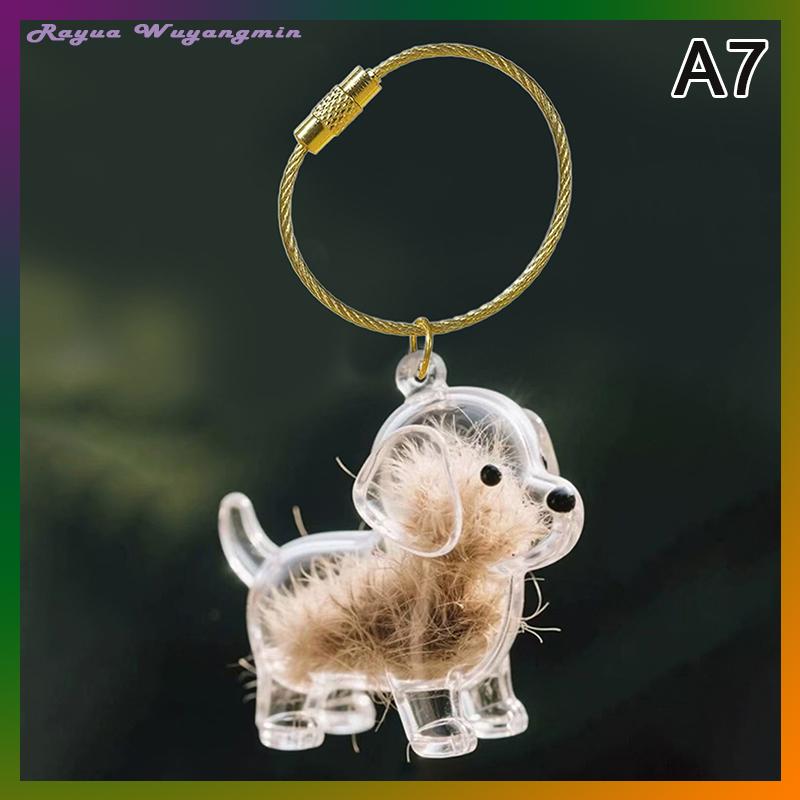 Rayua Rõ ràng Puppy tóc tưởng niệm lưu niệm viên nang pet của chó lông container tự làm mặt dây chuyền Keychain trang trí vật nuôi những người yêu thích nhà hiển thị Quà Tặng - 3