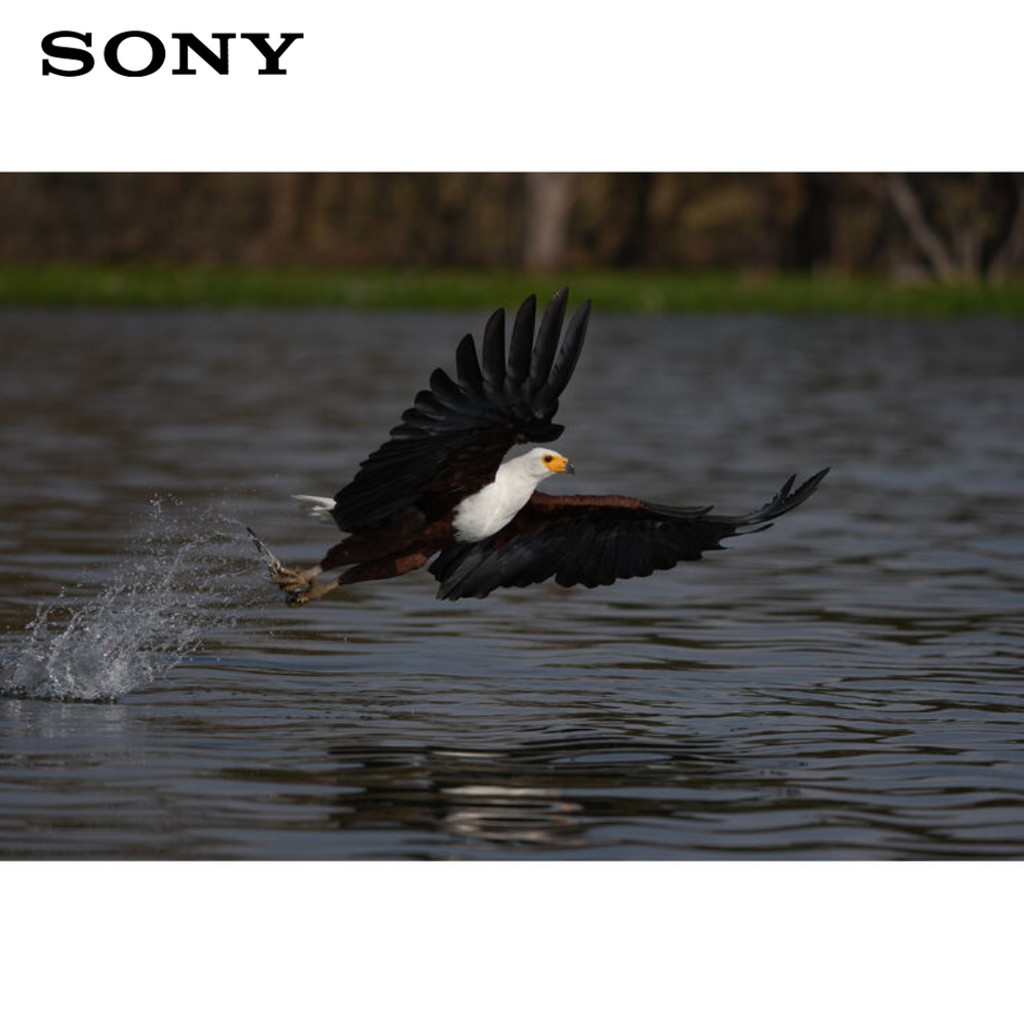 Sony a7R VI Mirrorless Camera | 66.8MP | 8K30p