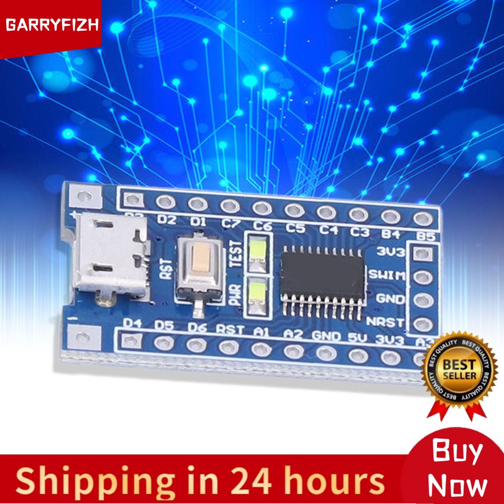 GARRYFIZH STM8S103F3P6 3.3V บอร์ดพัฒนาเอาต์พุต 16MHz Micro USB สำหรับ DIY ราคา 91 บาท*ส่งฟรี