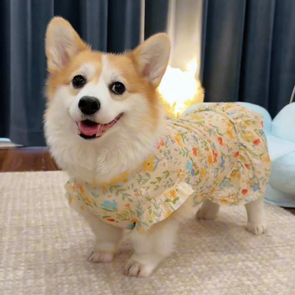 Mùa hè váy cho chó Lụa băng quần áo thú cưng cho chó mèo trang phục thoải mái ngầu S-6XL