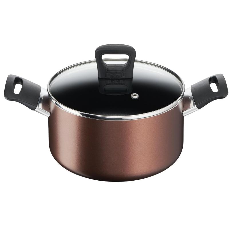 Tefal G14361 DAY BY DAY Stewpot 22 cm with Lid Singapore