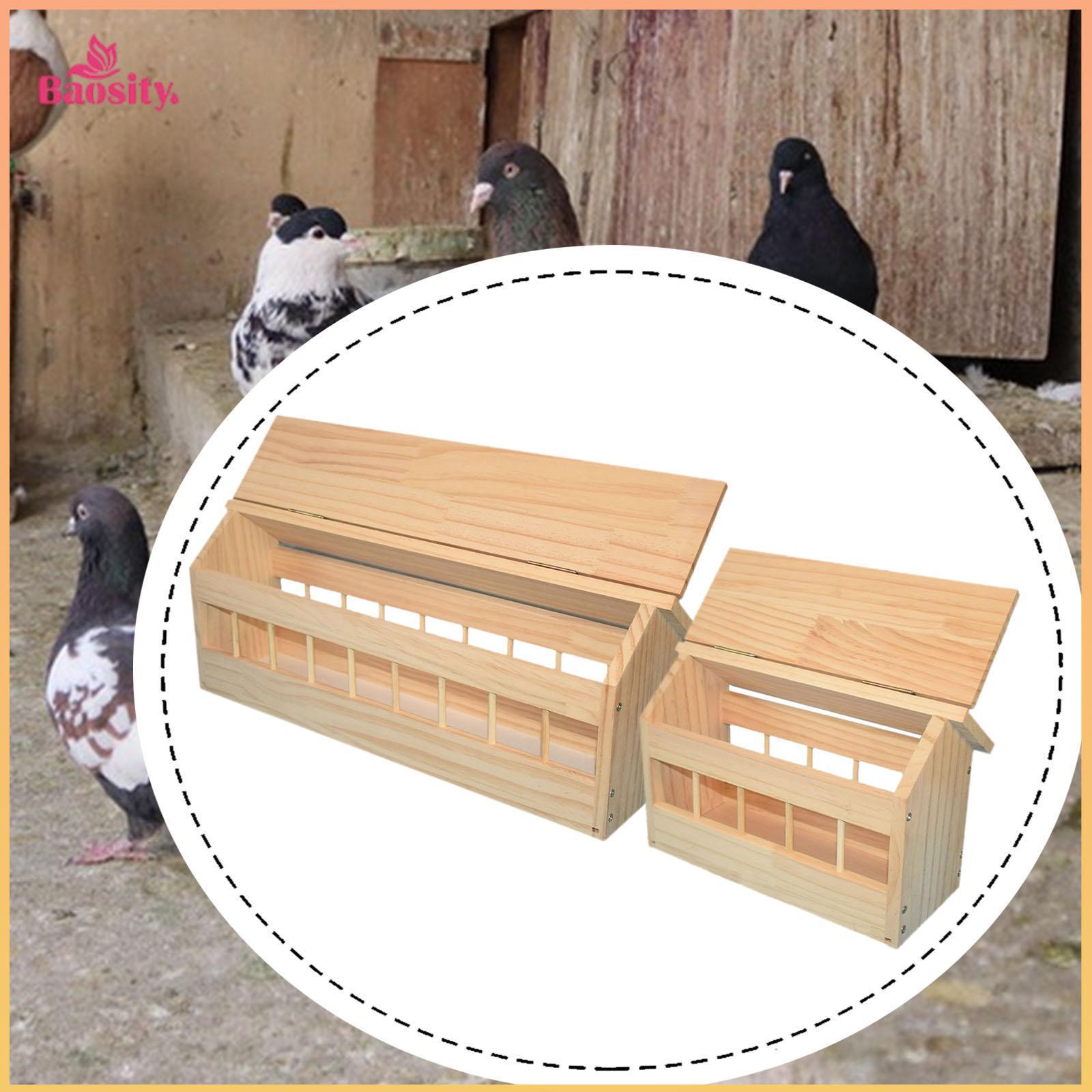 Wooden Pigeon Feeder Food Dispenser Chicken Feeder ราคา 1,240 บาท*ส่งฟรี