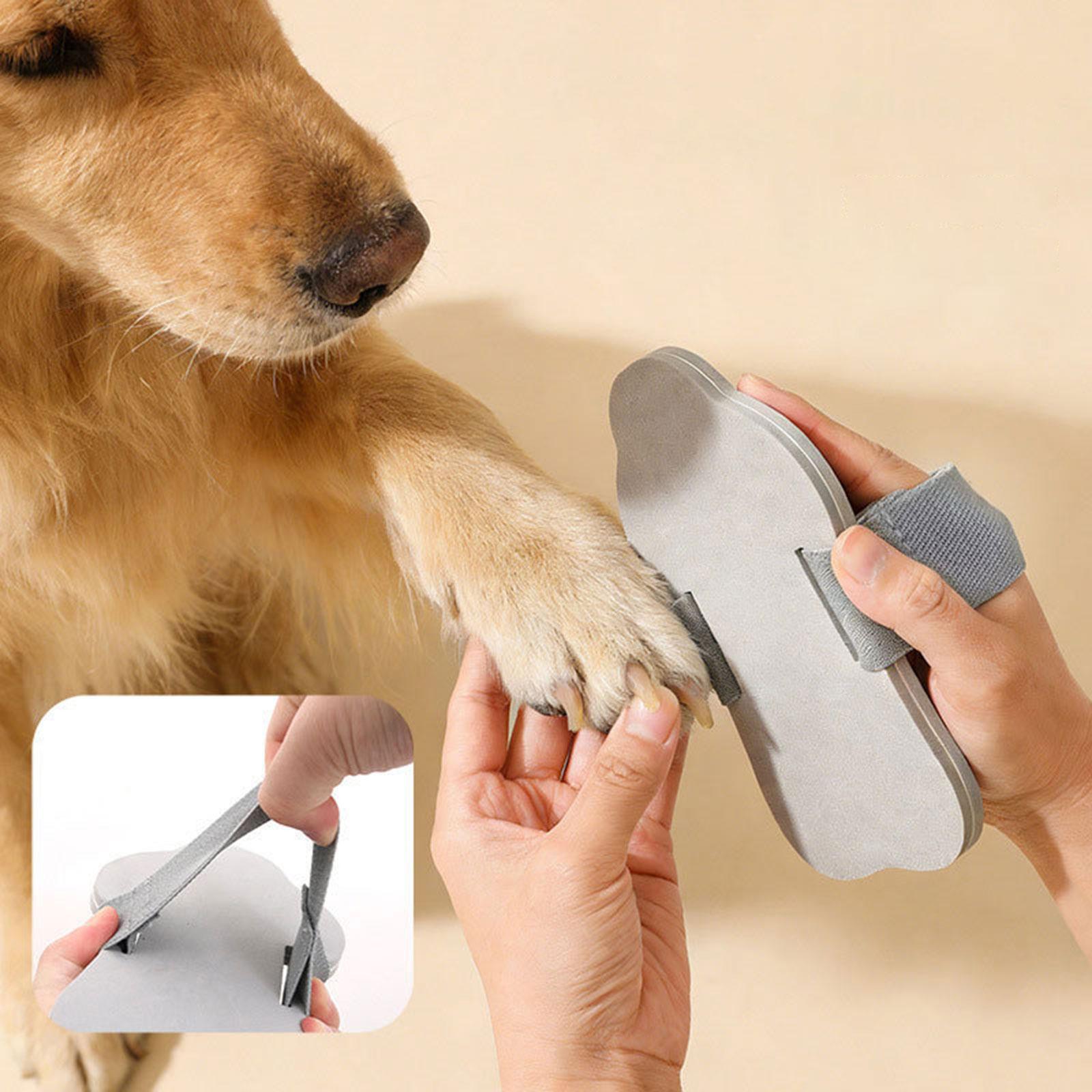 Miracle Shining Nail Trimmers Board EVA Effortless Cats Nail File Scratching Board Dogs Nail Scratcher Pad for Nail Grooming Cats Accessories ราคา 4,732 บาท*ส่งฟรี