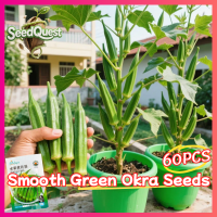 100% Legit 60pcs High Yield Smooth Green Okra Seeds for Planting Vegetables F1 Dwarf Okra Potted Seeds Fresh Bonsai Okra Seeds Hybrid Long Okra Live Plant Veggie Seed Lady Finger Okra Vegetable Seeds for Gardening Organic Fruit Okra Seedlings Indoor Plant