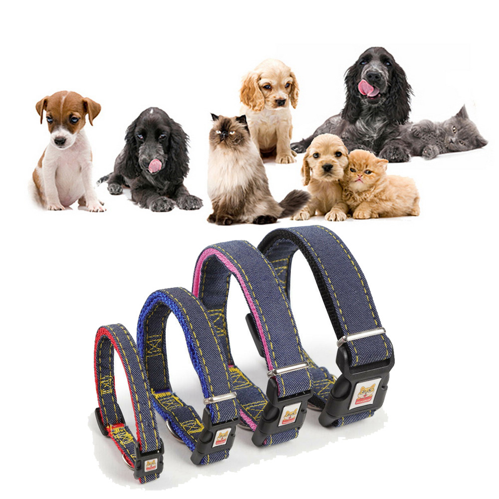 HTRF Double Widening Outdoor Training For Small Dog Pet Supplies Neck