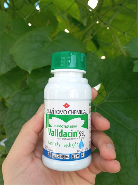 Thuốc trừ nấm bệnh Validacin 5SL 100ml