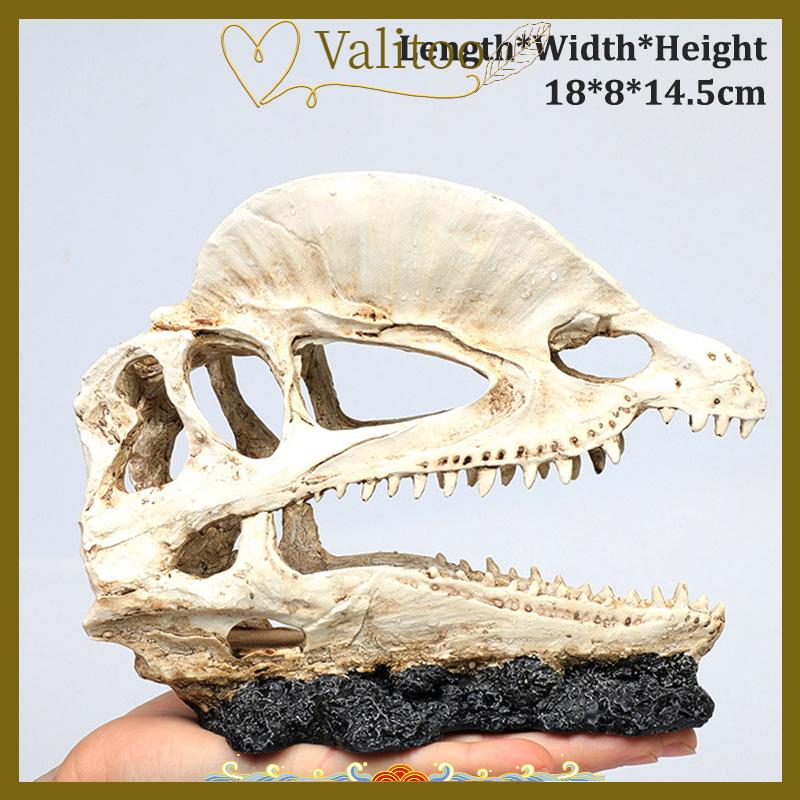 [Valitoo] Mô phỏng nhựa động vật hộp sọ trang trí tự làm bể cá bể cá phụ kiện trang trí sáng tạo hộp sọ cảnh quan bể cá trang trí - 2