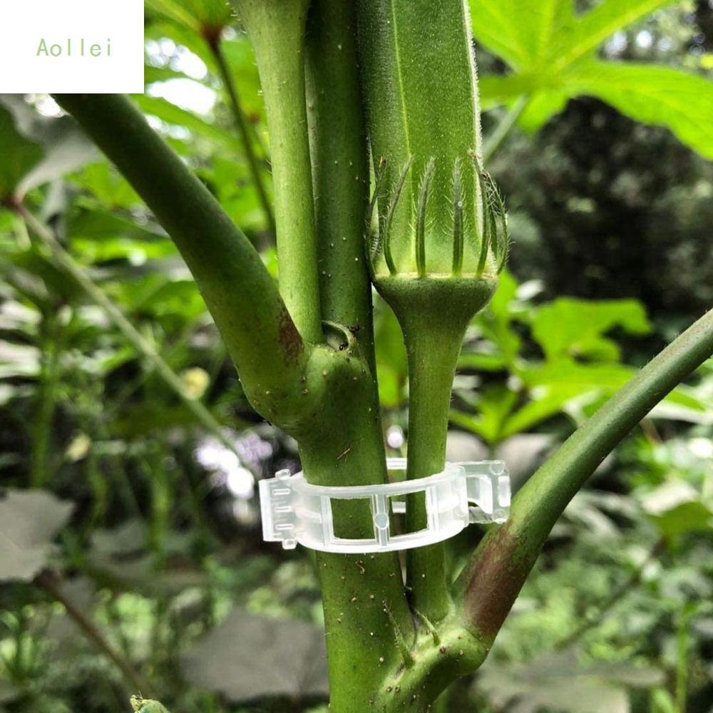 Aollei vườn nhựa ghép kẹp đỡ cây cối Giá đựng hoa cây nho kết nối Rau bảo vệ
