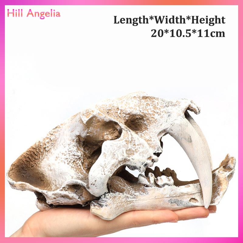 [Hill Angelia] Mô phỏng nhựa động vật hộp sọ trang trí tự làm bể cá bể cá phụ kiện trang trí sáng tạo hộp sọ cảnh quan bể cá trang trí - 5