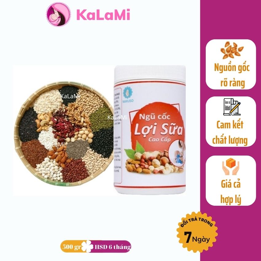 ngũ cốc lợi sữa nhà làm cao cấp hiệu quả 17 loại hạt chọn lọc