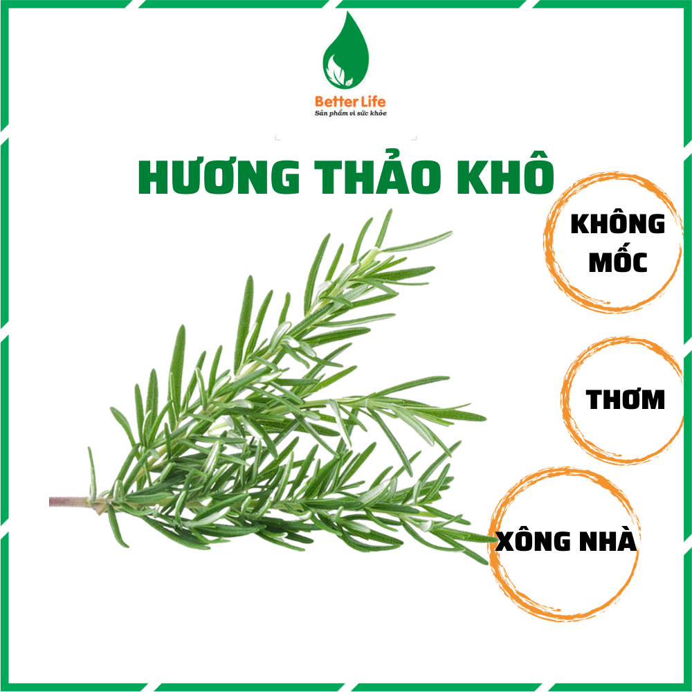 Cành lá Hương thảo Rosemary sấy khô 100g dùng xông thơm nhà, pha trà hoặc nấu ăn