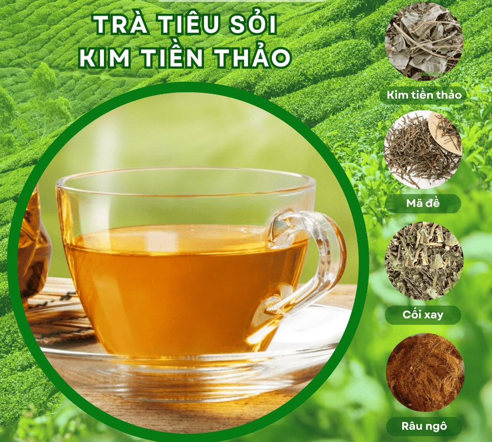 tiêu sỏi kim tiền thảo 4 vị ( combo Kim tiền thảo, cối xay, mã đề, râu ngô) 15 gói-20gói