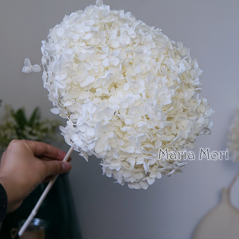 【Shop Now and Save】 Preserved Hydrangea Decor Preserved Flowers Home Decoration Anna Hydrangea Wedding Decoration