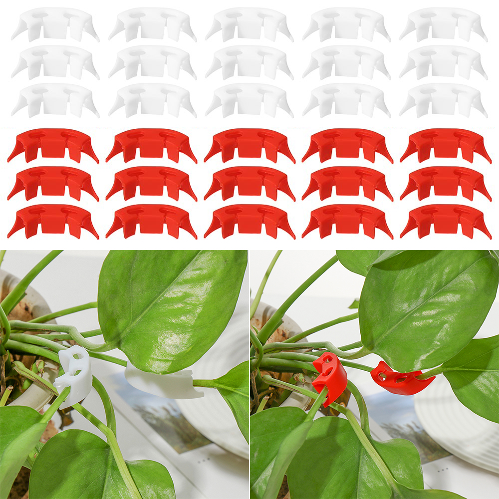 Physilology uninhabited86ed8 100 pcs cây trồng trong chậu đa chức năng dễ dàng để sử dụng 90 độ thực vật Bender reuseable LST Clip kiểm soát sự tăng trưởng căng thẳng thấp đào tạo thực vật