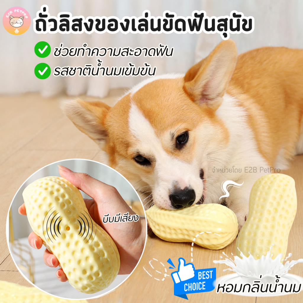 ของเล่นที่ หมา ชอบ