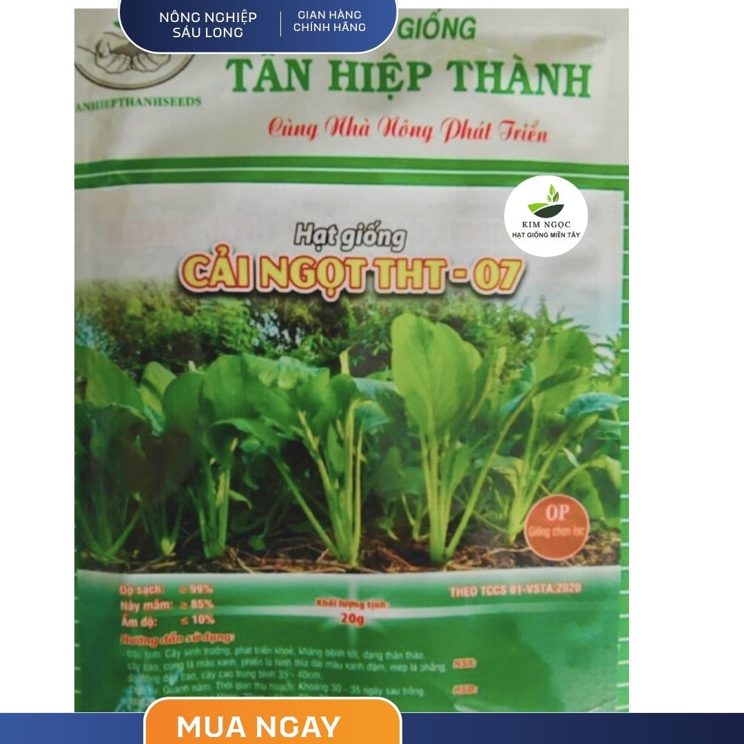 Hạt Giống Cải Ngọt THT 07 TÂN HIỆP THÀNH (GÓI 20gr) - Nảy mầm cao, cây sinh trưởng và phát triển khỏe