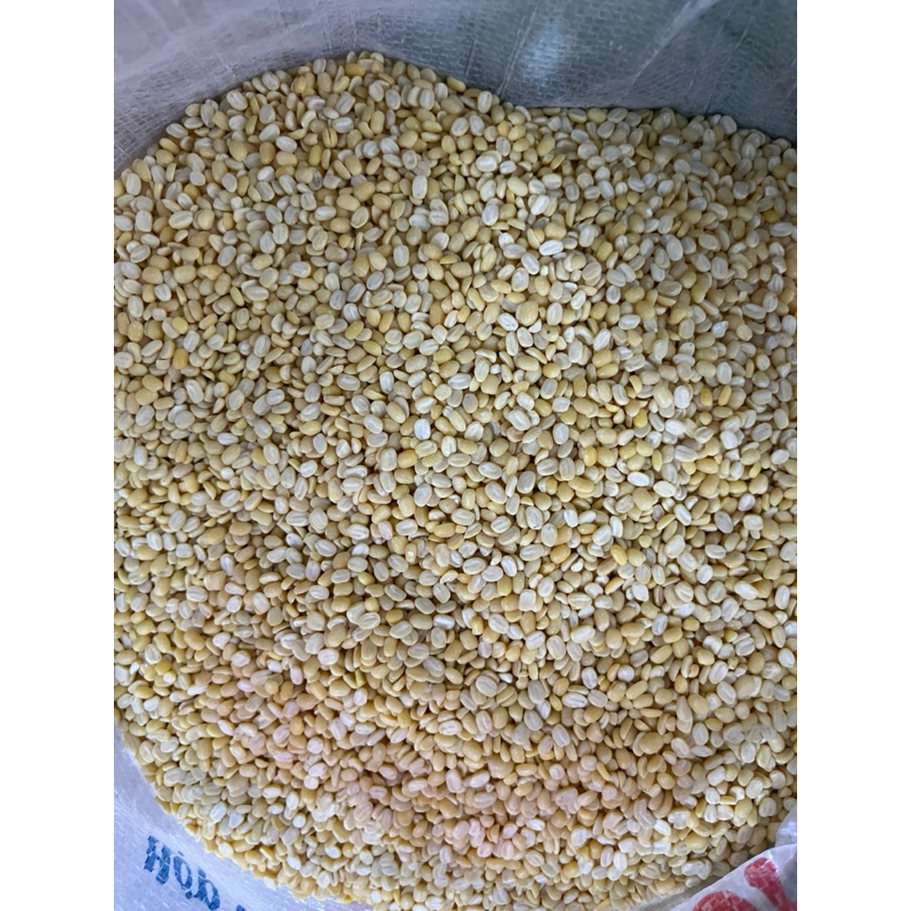 đậu đen / đậu xanh / đậu nành / đậu phộng / đậu đỏ / đậu ván / đậu trắng / đậu ngự 10kg giá sỉ
