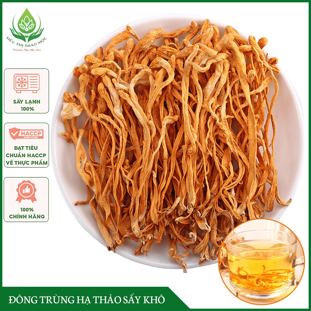 [LOẠI THƯỢNG HẠNG] Đông Trùng Hạ Thảo 100gr Sấy Khô Sợi To Ngon Hàng Cao Cấp Bồi Bổ Cơ Thể[TẶNG QUÀ ĐƠN TỪ 66K]