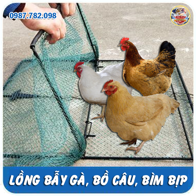 Mẹt vuông lồng bẫy chim , gà , bìm bịp , cò quốc , cút rừng