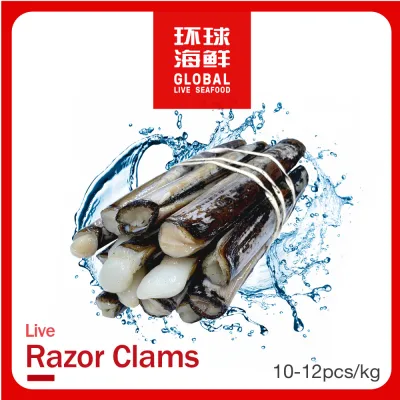 Live Scottish Razor Clams [Bamboo Clams] (500g)
