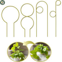 Boupower 4pcs Plants Trellis 4 Style Anti-rust Anti-scratch Climbing Frames For Potted Green Plants Climbing
