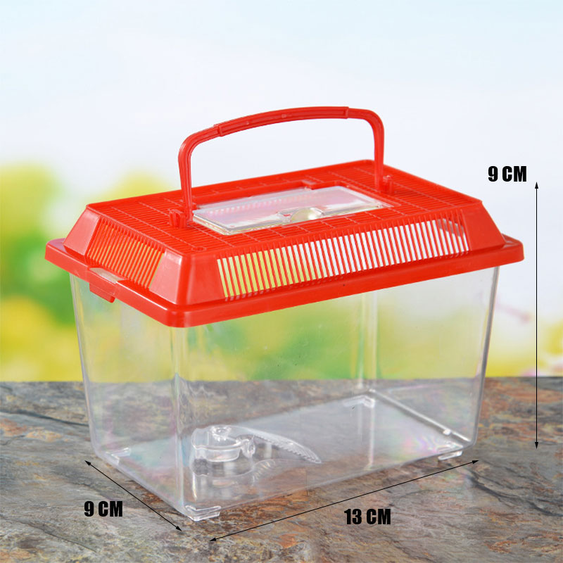 Plastic Fish Storage - Best Price in Singapore - Jan 2024