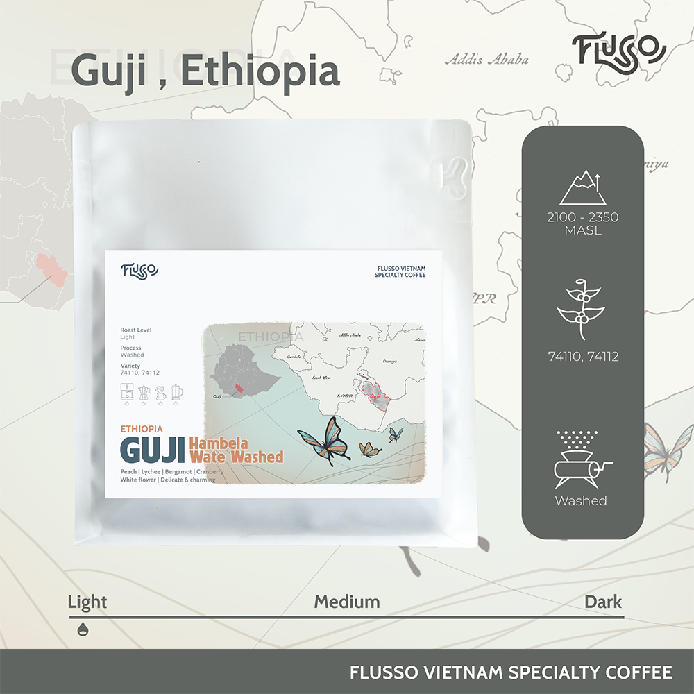 Cà phê Specialty Ethiopia Guji Hambela Wate Washed