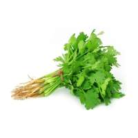 Fresh Indian Coriander leaves 100g