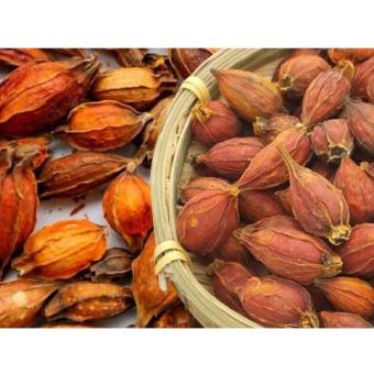 Hạt dành dành, chi tử