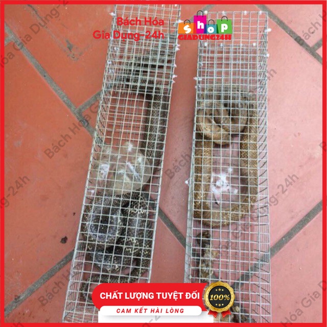 Bẫy rắn kẽm cao cấp hiệu quả dài 78x12 cm, lồng bẫy rắn kẽm không ri cao cấp