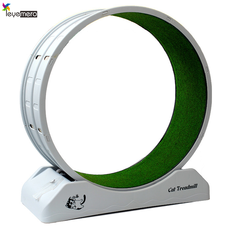 Cat Treadmill Silent Cat Running Wheel Exercise and Fitness Equipment for Cats and Small Dogs ราคา 1,605 บาท*ส่งฟรี