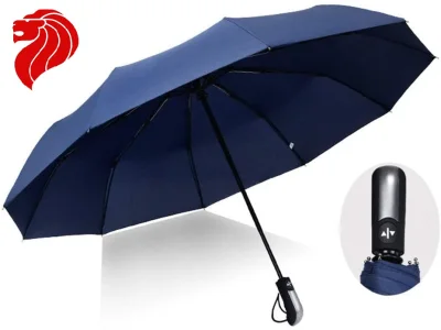 10 Bone Automatic UV Protection Umbrella Foldable Windproof Sturdy Umbrella Double Layer Rain Gear Sun Umbrella