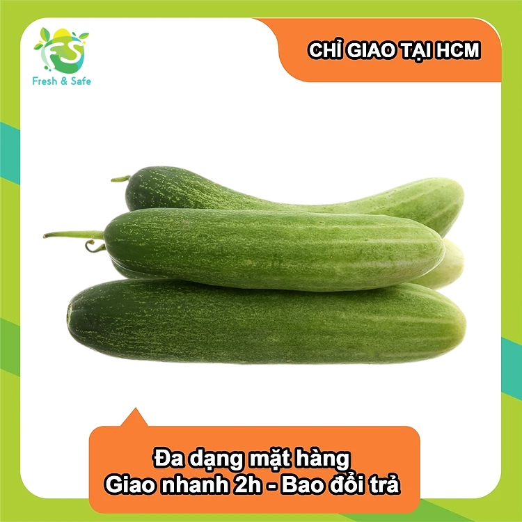[Chỉ giao HCM] Dưa leo/ Cucumber - 500g